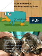 The Duck Bill Platypus