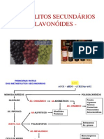 Aula 3 Flavonoides PDF
