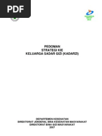 Download strategi-KIE-Kadarzi 1pdf by Citra Chairannisa SN149828245 doc pdf