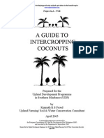 18 a Guide to Intercropping Coconuts