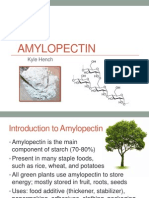 Introduction to Amylopectin