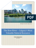 Bow River - Harvard Graduate Research Paper