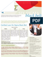 Certified Lean Six Sigma Black Belt Brochure