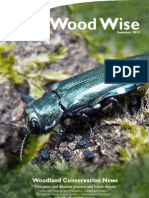 Wood Wise - Tree Pests & Diseases - Summer 2013