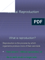 Asexual Reproduction