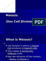 Meiosis