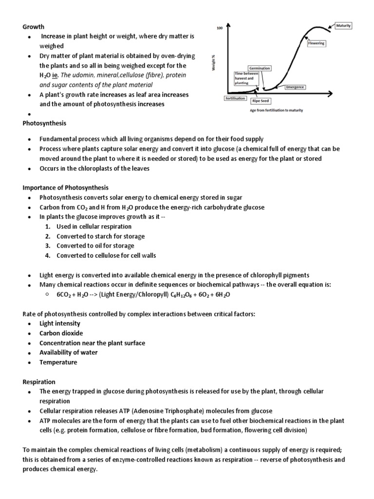 Factors affecting Plant Growth Photosynthesis Plants