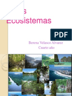 cuartoecosistemas-120930164326-phpapp01