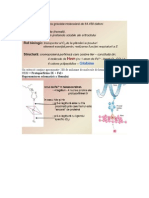 Hemoglobin A