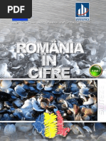 Romania in Cifre 2013 - Ro