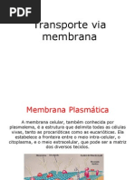 _Seminário+Fisio.+Veg.+2-TRANSP.+DE+MEMBRANA.ppt_