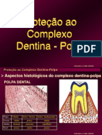 Complexo Dentino Pulpar