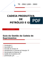 Cadeio Produtiva de Petroleo e Gas.pdf