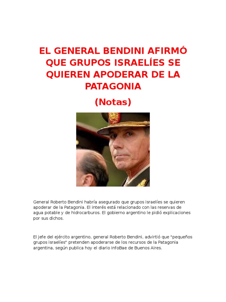 Bendini: Israel busca recursos en Patagonia | PDF | Oficial general ...
