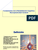 Neuroplasticidad Cerebral