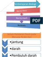 Sistem Peredaran Darah Manusia