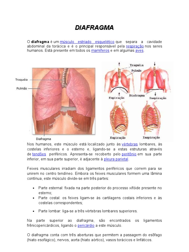 Insuficiência Respiratória Aguda III: Insuficiência Respiratória  Hipercápnica, image size:768x1024