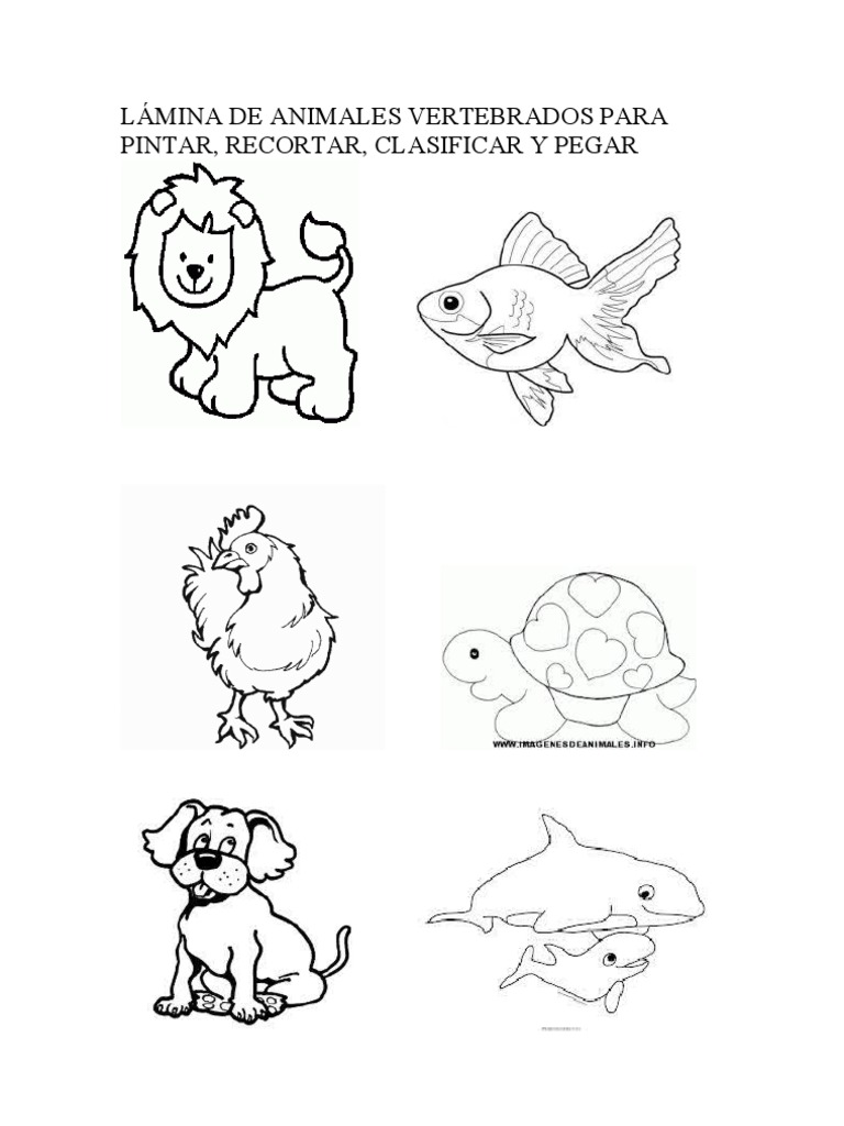 Triazs: Dibujos Colorear Animales Invertebrados