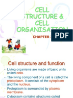 Cell Structure and Function