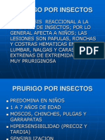 2.Prurigo Por Insectos