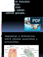 Diapositivas Exposicion Grupo 3