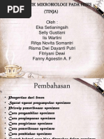 Download Diagnostik Mikrobiologi Pada Feses Tinja by Ina Shabrina Ina SN150107086 doc pdf