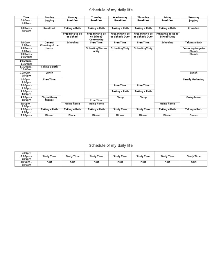 Weekly Daily Life Schedule Overview | PDF