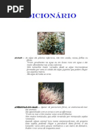 Texto  "A Menina Do Mar"