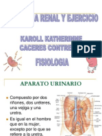 Fisiologia Renal Desp. Textos M