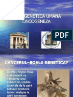 ONCOGENEZA