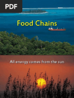 Food Chains