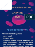 Apoptosis