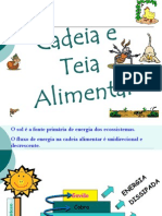 2012_-_cadeia_e_teia_alimentar
