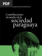 Schvartzman Corregido