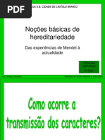 mendel-1227956850935547-8