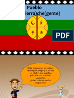 Pueblo Mapuche