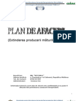 Model Plan de Afaceri Completat