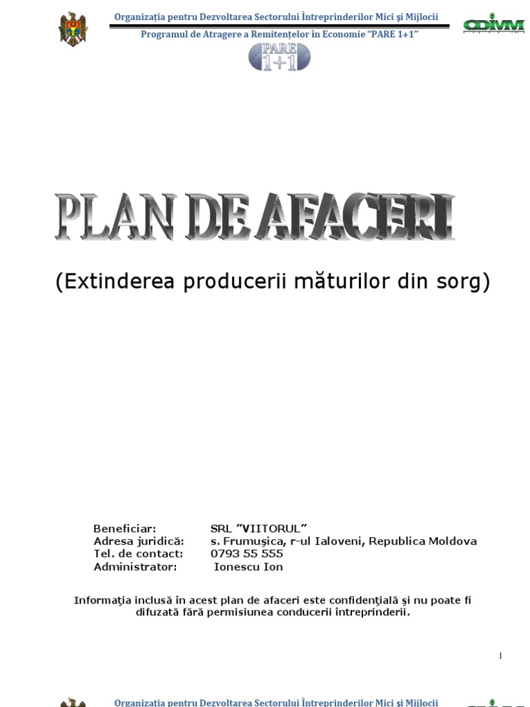 Model Plan de Afaceri Completat PDF