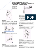 Fuerzas musculares y articulares en el cuerpo humano