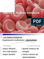 Tejidos Animales