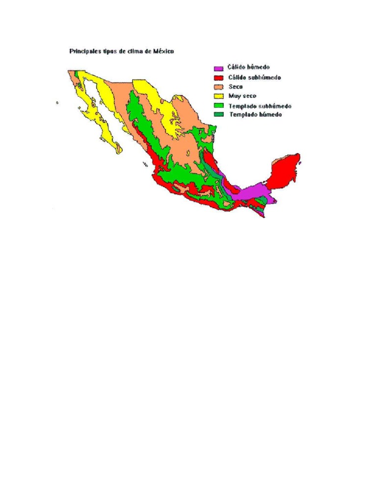 Selvas en Mexico | Selva | Zona tropical