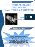 adaptacionneonatal-100323134424-phpapp01