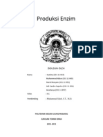 Download Produksi Enzim by Nurul Maryam Abdullah SN150287470 doc pdf