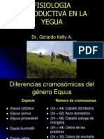 Fisiologia Reproductiva de La Yegua