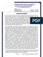 Informe Teoria de Enjambres