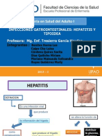 Hepatitis Completo