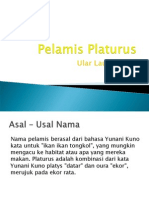 Pelamis Platurus