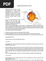 Anatomy and Physiology of the Eyes