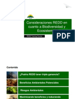S. Panfil - Consideraciones REDD en Cuanto a Bio Divers Id Ad y Ecosistemas