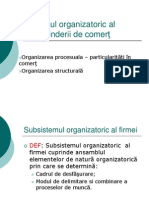 5 Subsistemul organizatoric